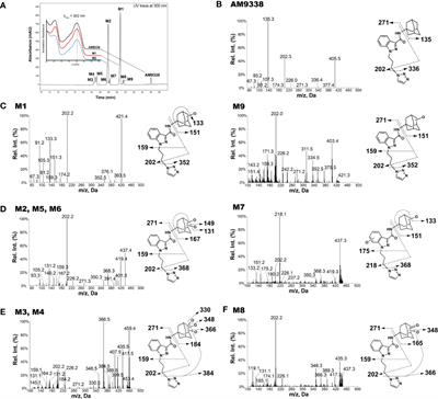 Metabolic Profiling of a CB2 Agonist, AM9338, Using LC-MS and Microcoil-NMR: Identification of a Novel Dihydroxy Adamantyl Metabolite